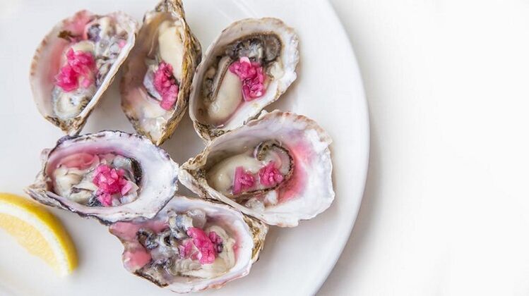 Oysters kia piki ake te kaha